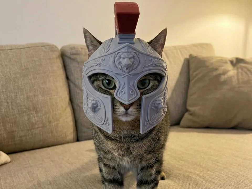 Cat Centurion Helmet