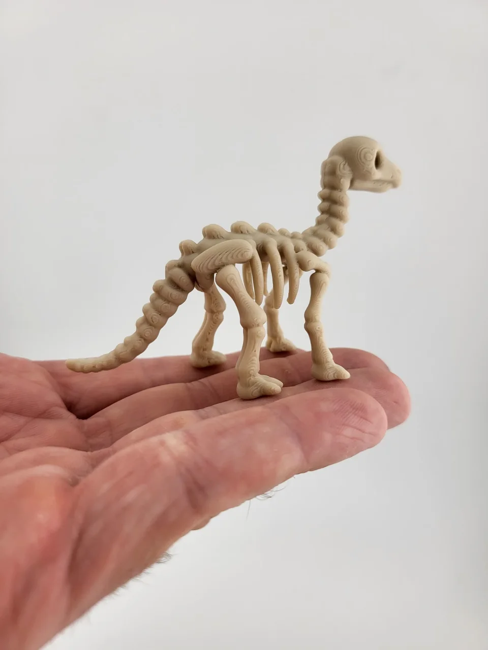 Dinosaur Skeleton Keychain
