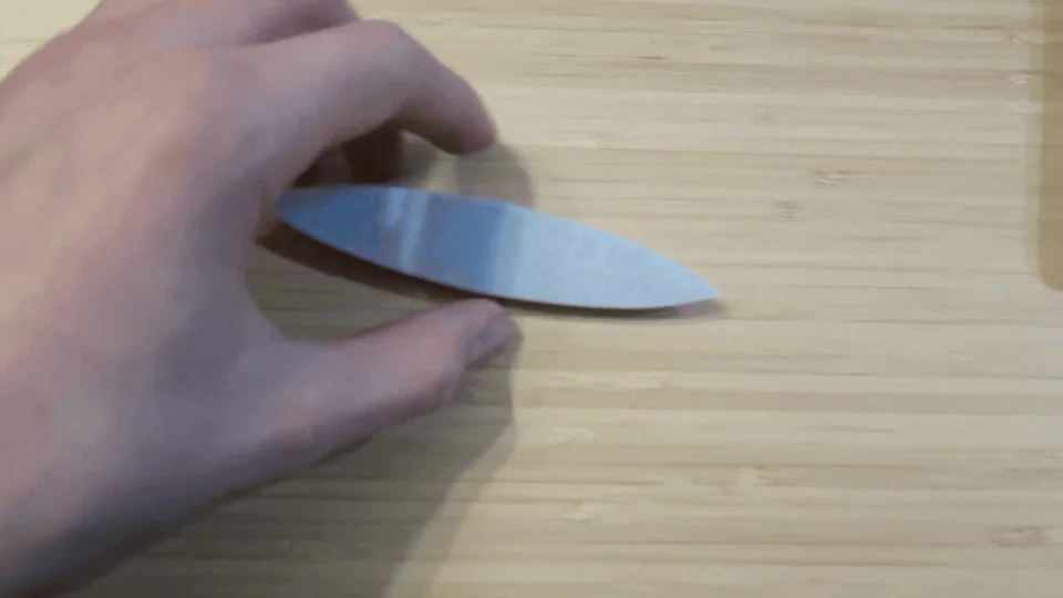 Self-Reversing Rattleback