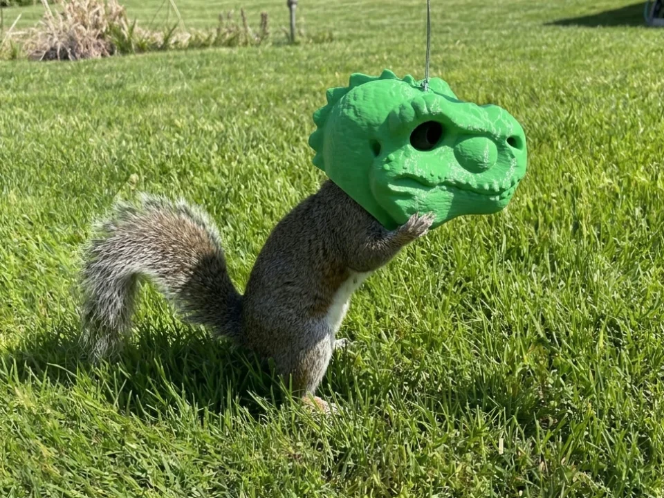 Squirrelysaurus Rex Feeder