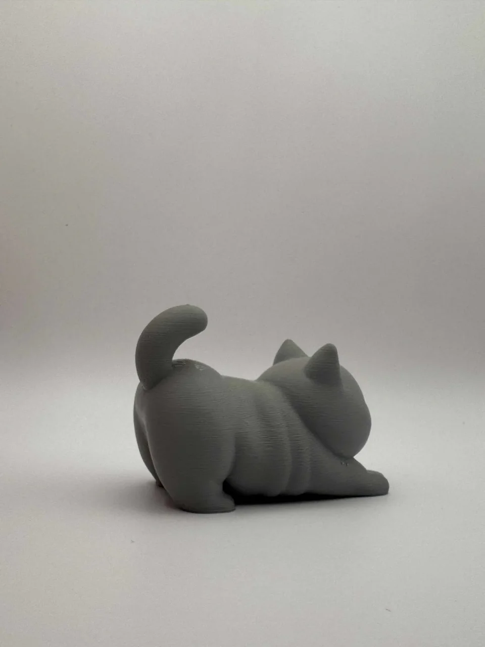 Stretching Chubby Cat